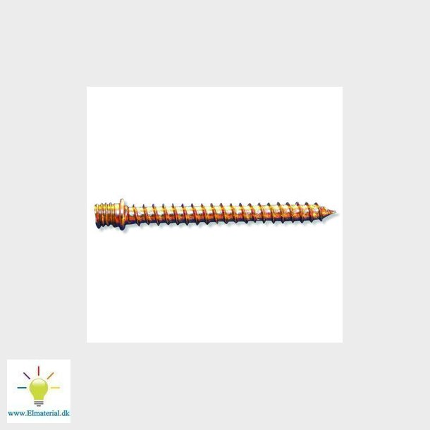 Trskruer galvaniseret 6 x 25 mm