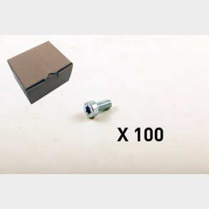 100 Insexskruv, torx, l�gt huvud 3101-0616Q1