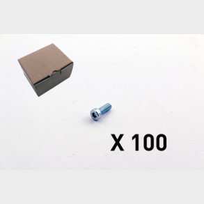 100 Insexskruv, torx, l�gt huvud 3101-0620Q1