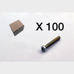 100 Insexskruv, torx, l�gt huvud 3101-0630Q1