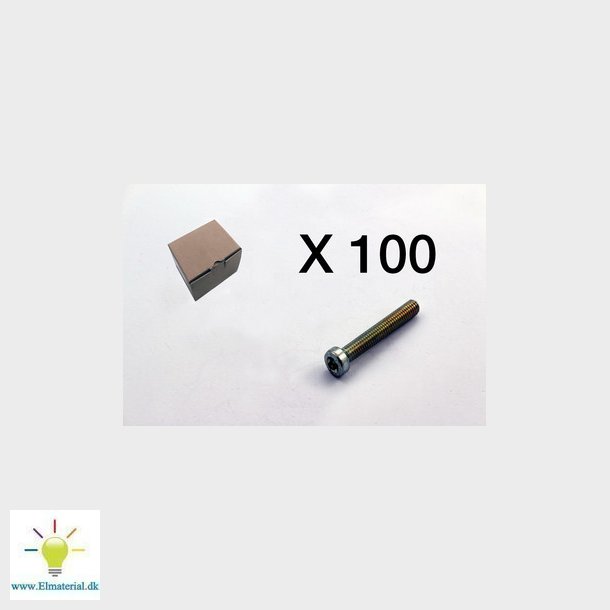 100 Insexskruv, torx, lgt huvud 3101-0630Q1