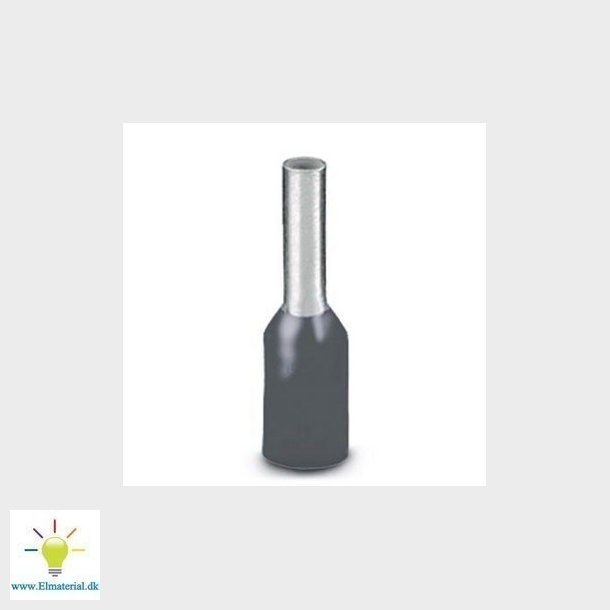 Terminalrr AI  6   -12 GN