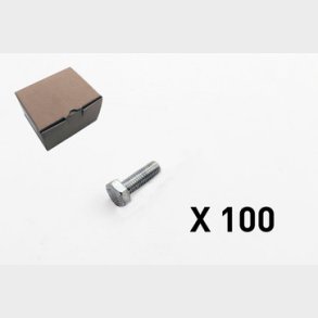 100 Skruv, 6 kt, utan skaft 2009-1030Q1