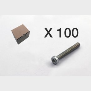 200 Insexskruv, torx, l�gt huvud 3101-0640Q1