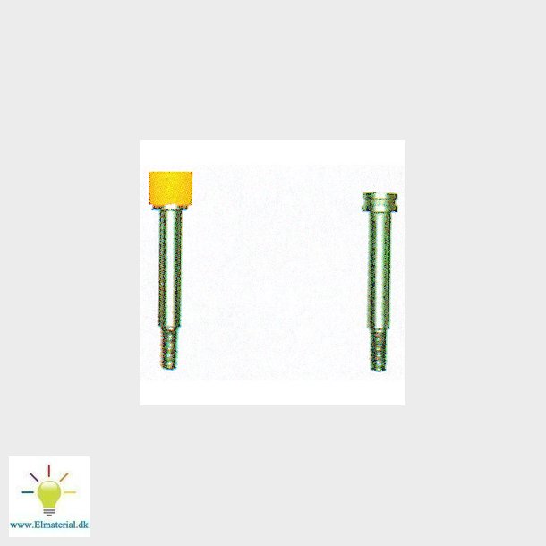 Skrue BS M 3X6              34620