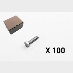 100 Skruv, 6 kt, utan skaft 2009-1040Q1