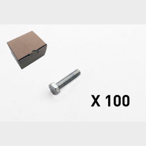100 Skruv, 6 kt, utan axel 2009-1050Q1