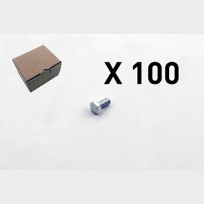 100 Skruv, 6 kt, utan skaft 2009-1220Q1