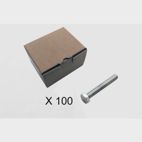 100 Skruv, 6 kt, utan skaft 2009-1060Q1