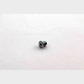 Cylinderskruv, torx, l�gt huvud, med kontaktpunkt