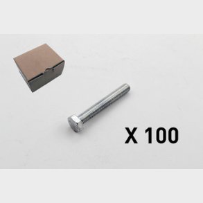 100 Skruv, 6 kt, utan skaft, rostfri 2209-0855Q1