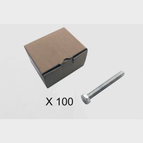 100 Skruv, 6 kt, utan skaft 2009-1090Q1