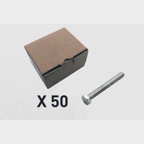 50 Skruv, 6 kt, utan axel 2009-10110Q1