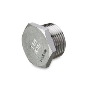 Sexkantsplugg med cylindrisk g&auml;nga, 1.4408, 20 bar 1/4