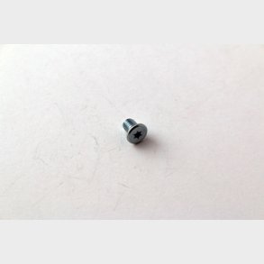 Cylinderskruv torx l�gt huvud 3041-0608