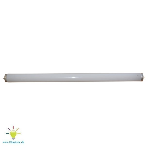 Lysrr 40W T/Cri Insektfanger