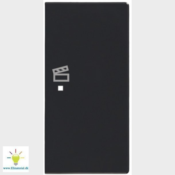 Tangent "Scene" 1/2M (H) Antr