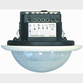 Närvarande. Pd4-M-2C-K-Dm