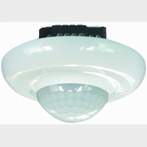 Närvarande. Pd2-M-1C-Dm