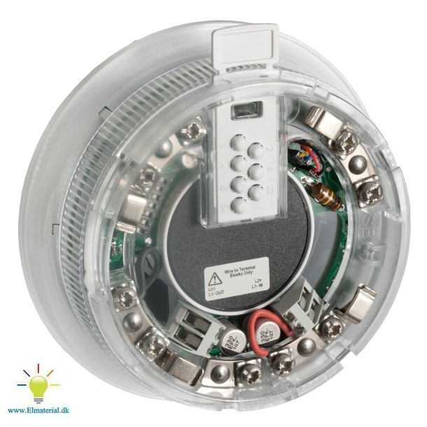 Intellia Lydgiver/Blitz Sokkel