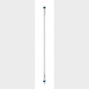Led Pipe Hf He 20W / 865 T5 1449