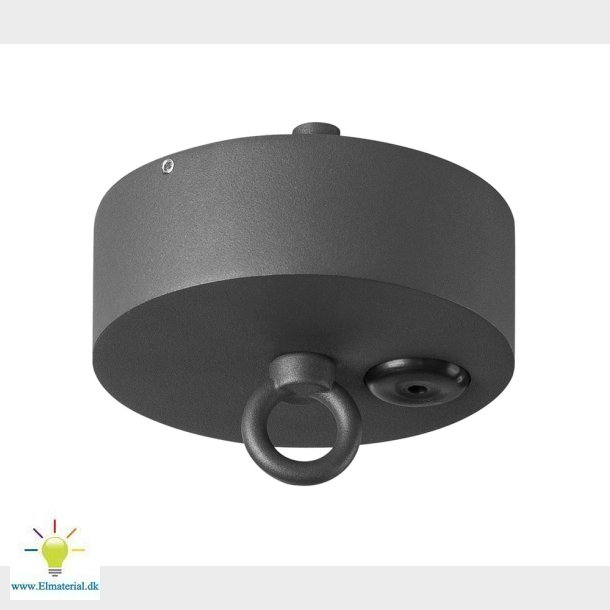 Loftrosette Til Photonia Udend