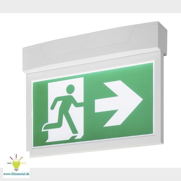 P-Light Ndudgangsskilt Stort