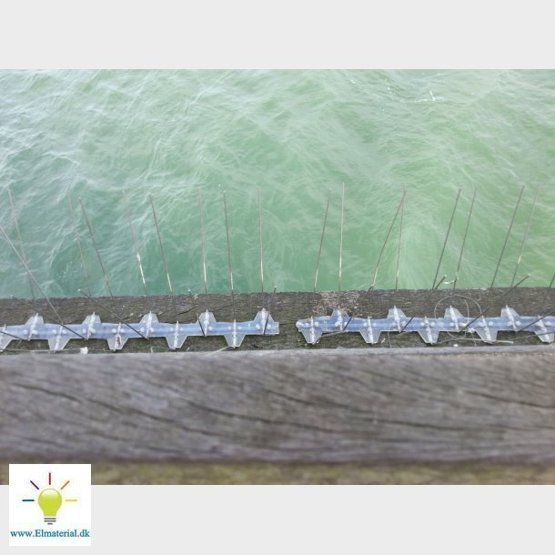 Duesikring Avipoint Ks &Agrave; 50M