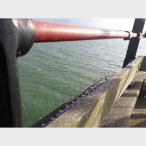 Duva säkring Avipoint P32Ks.5M