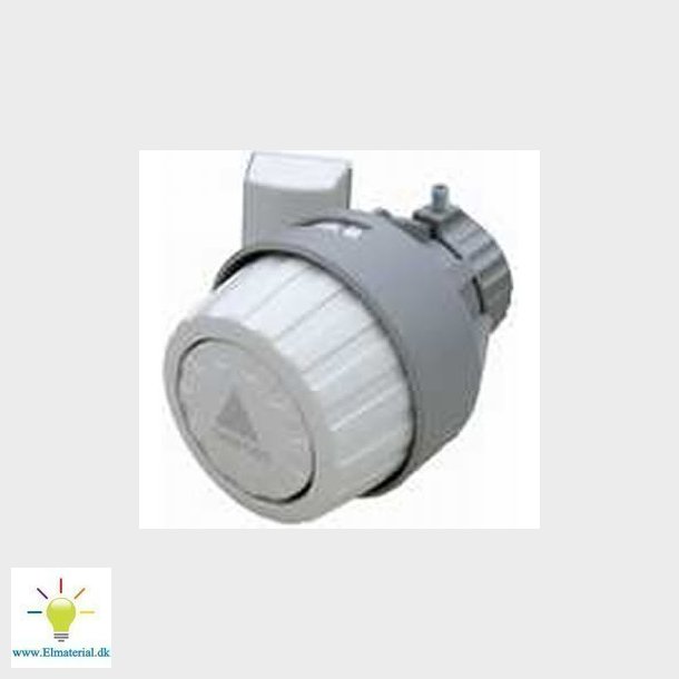 Institutionsfjernfler