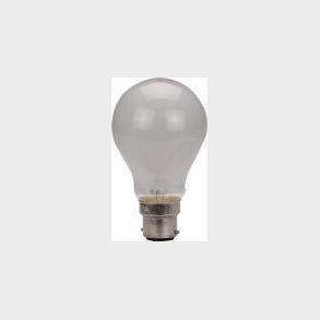 Standard Matte Glow Leares 240V