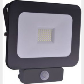 Schneider Electric Mureva floodlight 50W 4000K,IP44 Motion Sensor